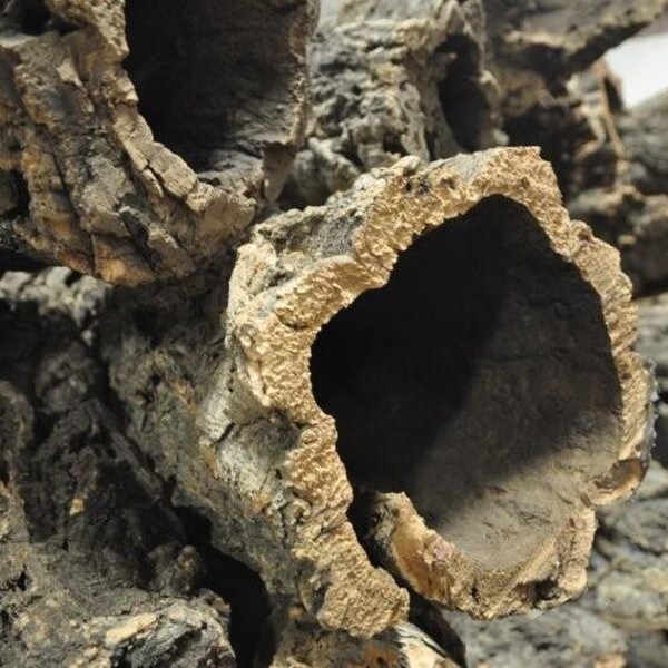 Natural virgin cork bark in full tubes